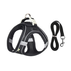 Dog Harness Leash Set for Small Dogs — Adjustable