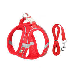Dog Harness Leash Set for Small Dogs — Adjustable