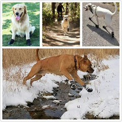 Durable Dog Boots — Non-Slip Paw Protectors