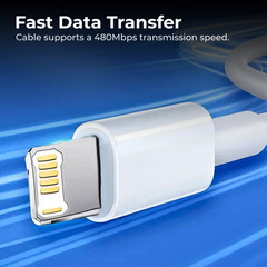 iPhone Fast Charger Cable USB to Lightning
