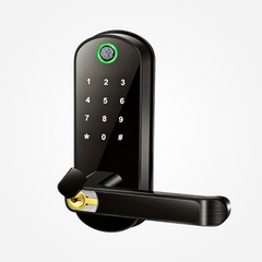 Smart Fingerprint Door Lock with Tuya App & PIN Access