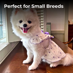 Bow Heart Puppy Skirt Cooling Pet Vest