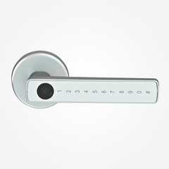 Keyless Entry Smart Door Lock — Fingerprint & App Control