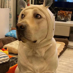 Knit Dog Ear Hood — Cozy Winter Pet Hat