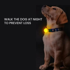 LED Rechargeable Dog Collar Safety Light