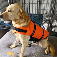 Large Dog Life Jacket: Reflective Swim Safety Vest