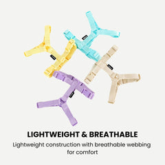 Macaron Dog Harness & Leash Set — Soft Chest Strap