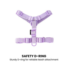 Macaron Dog Harness & Leash Set — Soft Chest Strap
