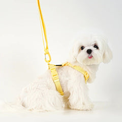Macaron Dog Harness & Leash Set — Soft Chest Strap