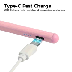 Magnetic Rechargeable Stylus Pen for iPad
