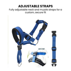 No-Pull Padded Dog Head Halter — Adjustable Control