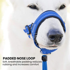 No-Pull Padded Dog Head Halter — Adjustable Control
