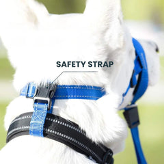 No-Pull Padded Dog Head Halter — Adjustable Control