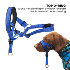 No-Pull Padded Dog Head Halter — Adjustable Control