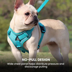 No-Pull Reflective Dog & Cat Harness — Padded Adjustable