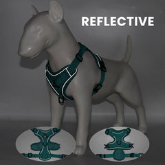 No-Pull Reflective Dog & Cat Harness — Padded Adjustable