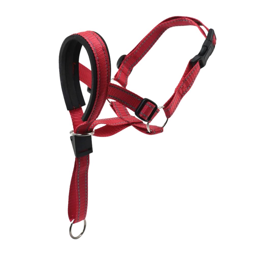No-Pull Padded Dog Head Halter — Adjustable Control