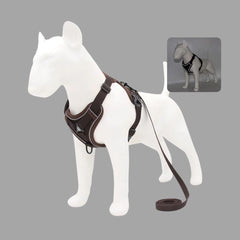 No-Pull Reflective Dog & Cat Harness — Padded Adjustable