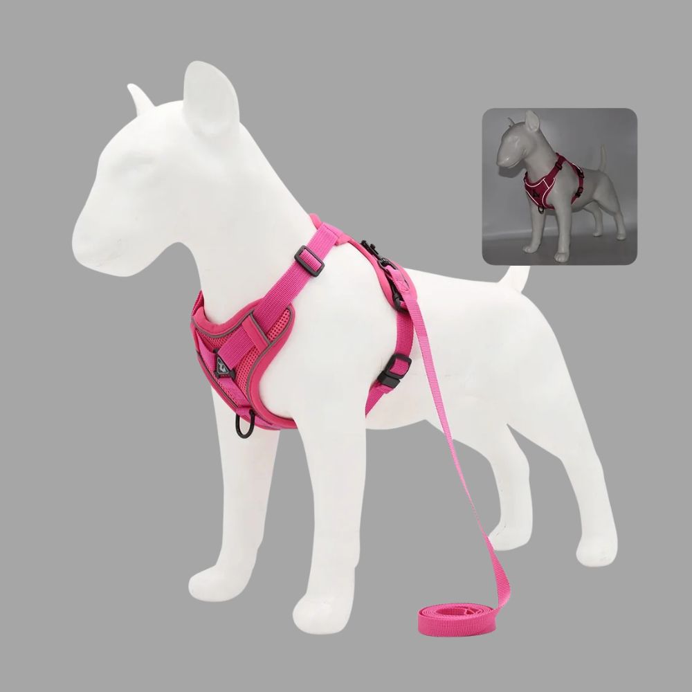 No-Pull Reflective Dog & Cat Harness — Padded Adjustable