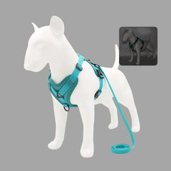 No-Pull Reflective Dog & Cat Harness — Padded Adjustable