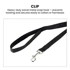 Nylon Long Dog Training Leash — 6m / 10m (2.5cm)