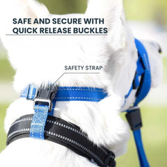 Padded No-Pull Dog Head Halter — Adjustable Control
