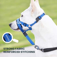 Padded No-Pull Dog Head Halter — Adjustable Control