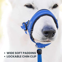 Padded No-Pull Dog Head Halter — Adjustable Control