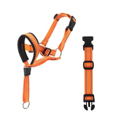 Padded No-Pull Dog Head Halter — Adjustable Control