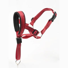Padded No-Pull Dog Head Halter — Adjustable Control