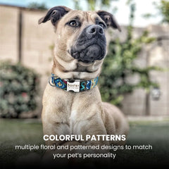 Personalized Floral Pet Collar with Metal Nameplate