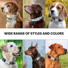 Personalized Floral Pet Collar with Metal Nameplate