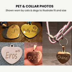 Personalized Heart Pet ID Tag — Engraved Stainless