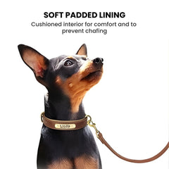 Personalized Leather Dog Collar with Brass Nameplate