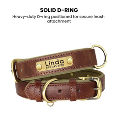 Personalized Leather Dog Collar with Brass Nameplate
