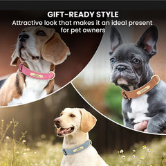 Personalized Leather Dog Collar with Engraved Plate
