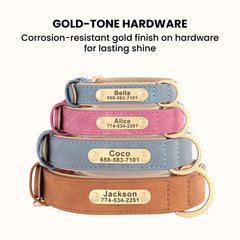 Personalized Leather Dog Collar with Engraved Plate