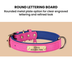 Personalized Leather Dog Collar with Engraved Plate