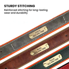 Personalized Leather Dog Collar with Engraved Plate