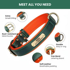 Personalized Leather Dog Collar with Nameplate