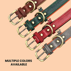 Personalized Leather Dog Collar with Nameplate