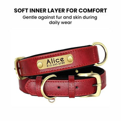 Personalized Leather Dog Collar with Nameplate