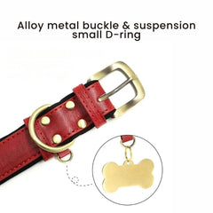 Personalized Leather Dog Collar with Nameplate