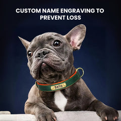 Personalized Leather Dog Collar with Nameplate