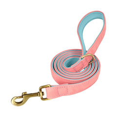 Personalized Leather Dog Collar with Brass Nameplate