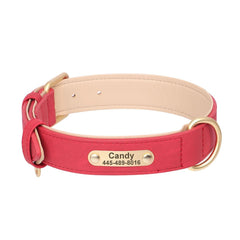 Personalized Leather Dog Collar with Engraved Plate