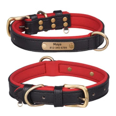 Personalized Leather Dog Collar with Nameplate