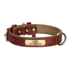 Personalized Leather Dog Collar with Nameplate