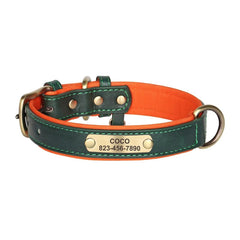 Personalized Leather Dog Collar with Nameplate