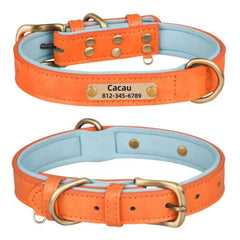 Personalized Leather Dog Collar with Nameplate